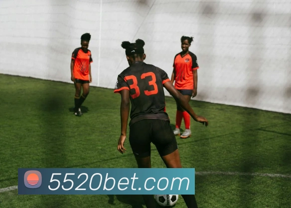 企业概况
